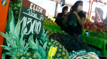 Lanzan aplicación para comprar frutas y verduras de ferias libres a domicilio