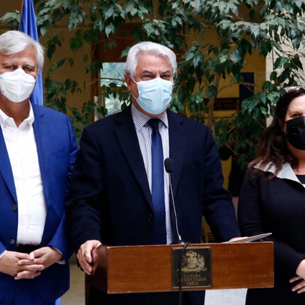 Saavedra anuncia respaldo a bono de 200 mil pesos para afiliados sin fondos