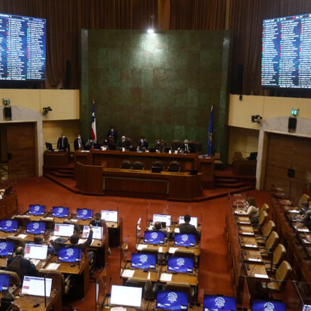 Cámara aprobó proyecto que establece feriado para las próximas elecciones