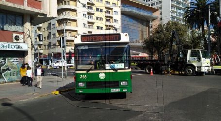 Valparaíso: Anuncian retorno del servicio de trolebuses a avenida Pedro Montt