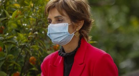 Daza y carnet verde: “En ningún caso van a haber cambios en el Paso a Paso”