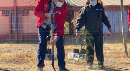 Lanzan programa de reactivación para pequeños y medianos propietarios forestales