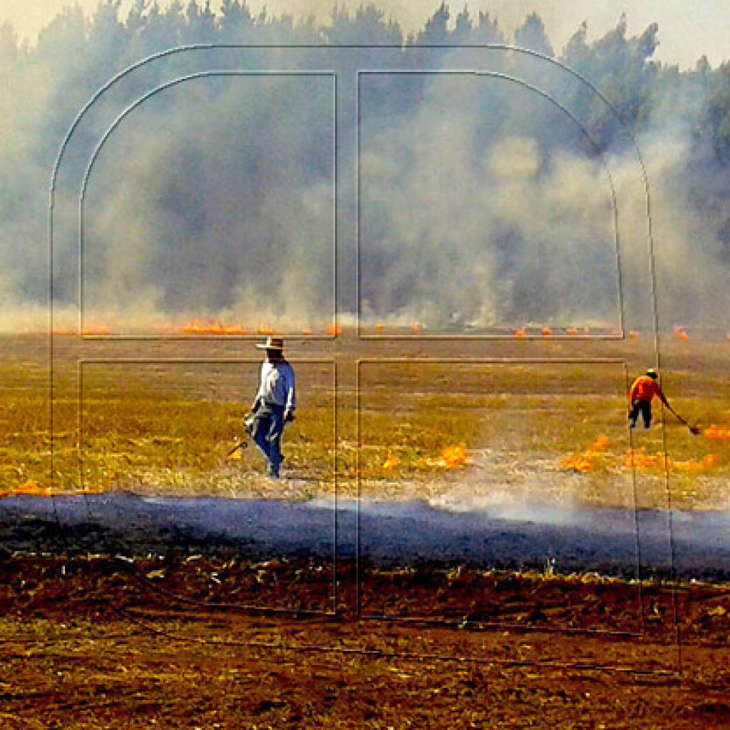 CONAF refuerza fiscalizaciones por Alerta Ambiental en la Región Metropolitana