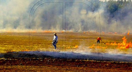 CONAF refuerza fiscalizaciones por Alerta Ambiental en la Región Metropolitana