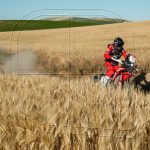 Andalucía Rally: Quintanilla avanzó dos posiciones en el ranking general