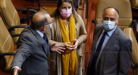 Luck a favor del voto obligatorio pero advierte necesidad de indicaciones