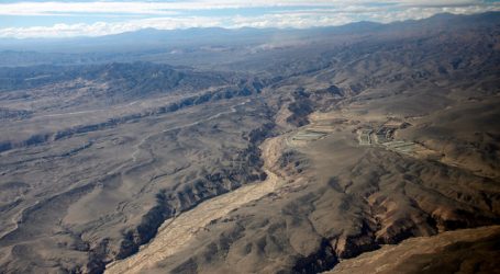 Consejo Regional aprobó más de 400 millones para reforestar Pampa de Tamarugal