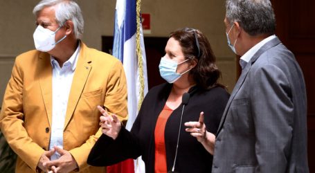 Diputados PS insisten en primarias convencionales en Unidad Constituyente