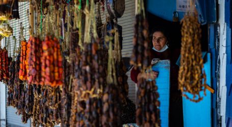 Bancada PPD ingresó proyecto para que feriantes informales obtengan bono Pyme