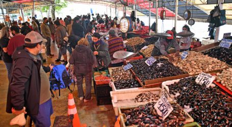 Diputados PC recurren a contraloría por bono del Gobierno para feriantes