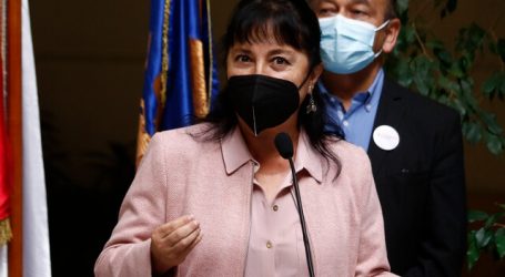 Diputada Marzán se refirió a beneficios que recibió Johanna Hernández