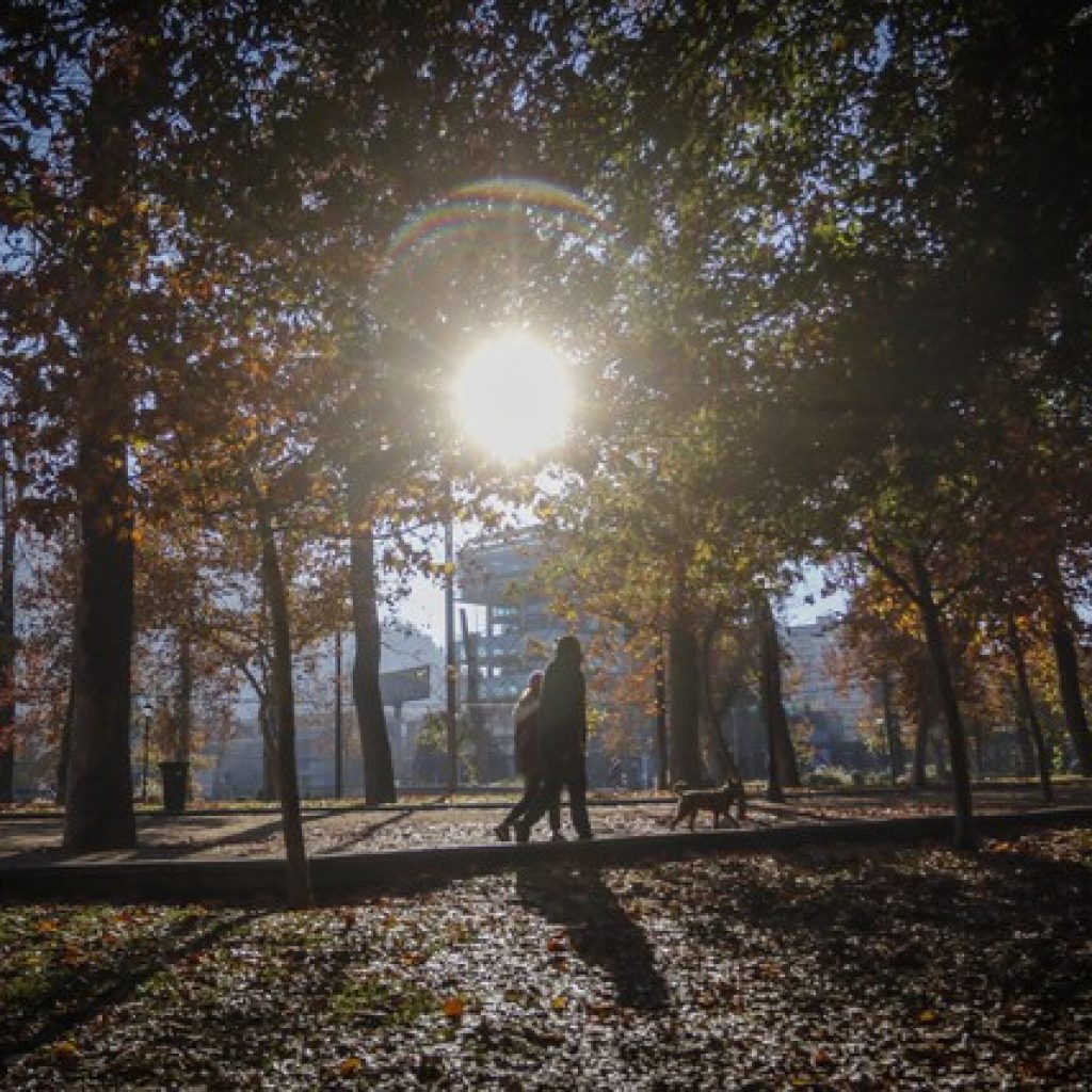 CONAF celebra Día Mundial del Árbol impulsando la creación de áreas verdes