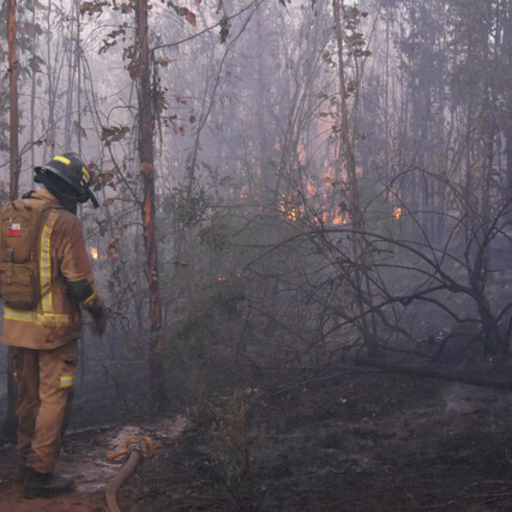 Se mantiene la Alerta Roja en Valparaíso por incendio forestal