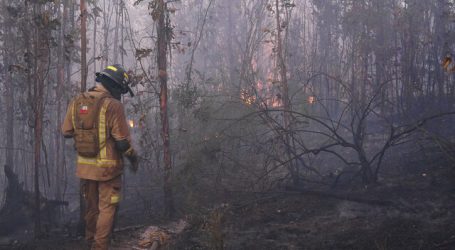Temporada de incendios forestales dejó un 66% menos de superficie afectada