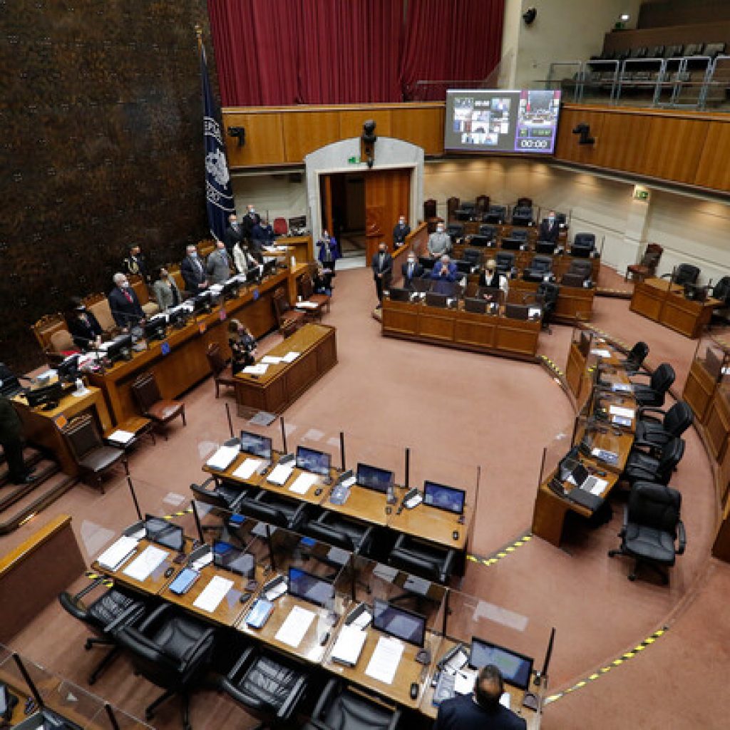 En el Senado: IFE de emergencia inicia su segundo trámite