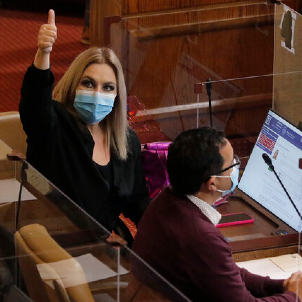 Diputada Jiles presentó proyecto para retirar el 100% de fondos previsionales