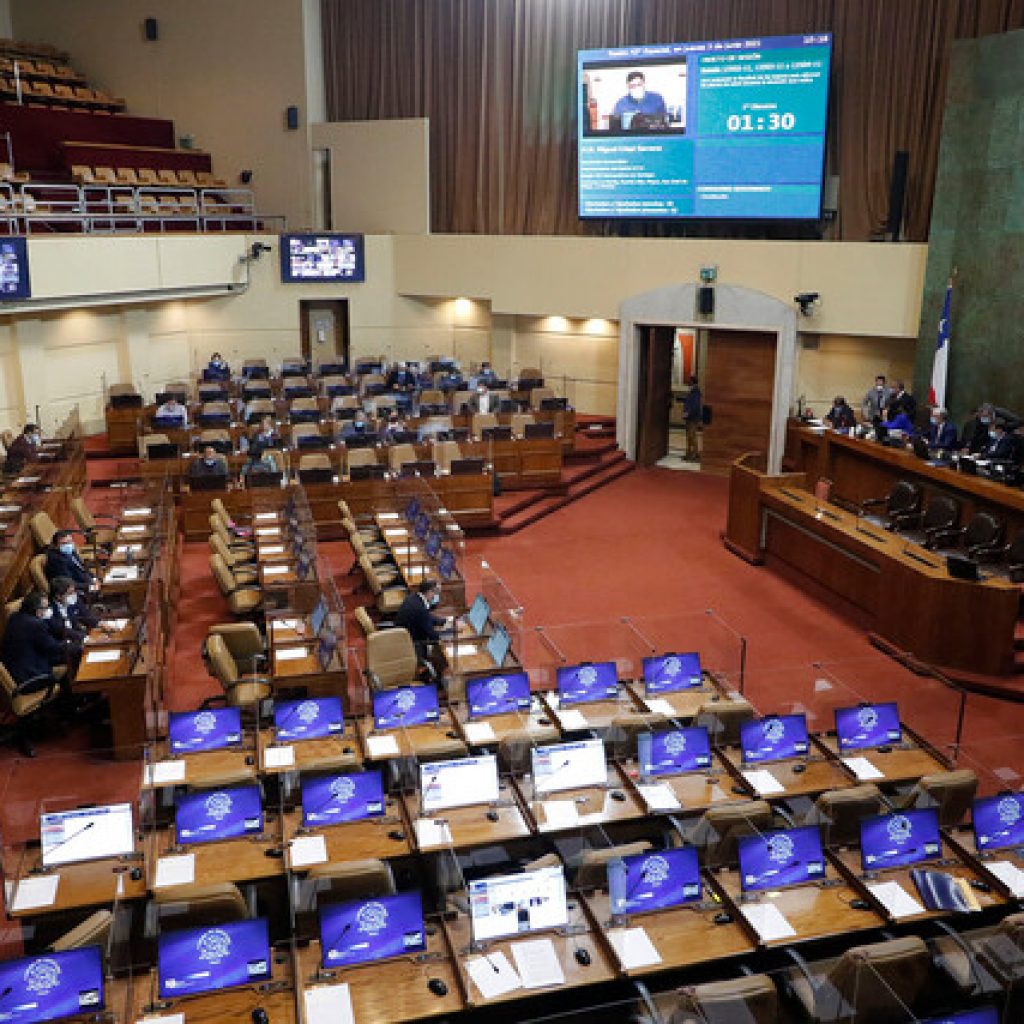 Cámara de Diputados despachó a ley extensión del postnatal de emergencia