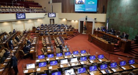 Cámara de Diputados despachó a ley extensión del postnatal de emergencia