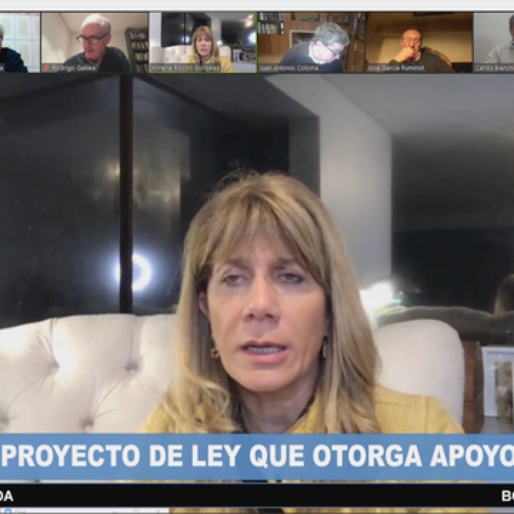 Comisión de Hacienda del Senado dio luz verde a ayudas para las pymes