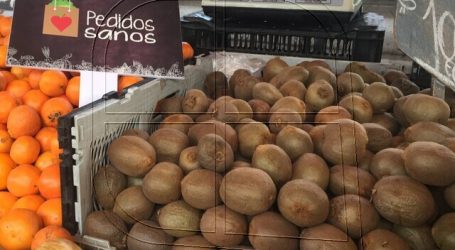 Elige Vivir Sano entregó balance del primer mes de la App “Pedidos Sanos”