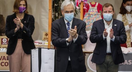 Presidente Piñera promulgó ley de medidas de apoyo para las pymes