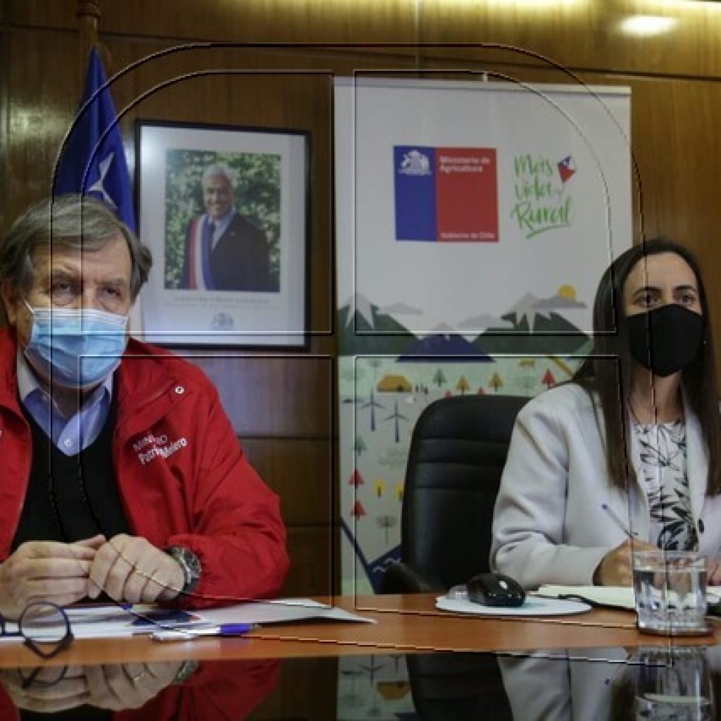 Ministros Undurraga y Melero encabezan Comité de Abastecimiento Seguro