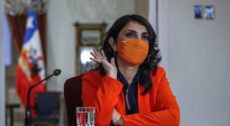 Rubilar por feriado: “Es un reconocimiento a la diversidad cultural”