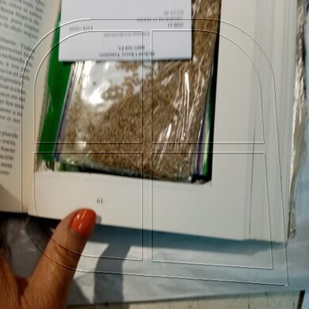 SAG interceptó semillas que venían ocultas en un libro