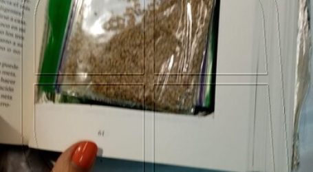 SAG interceptó semillas que venían ocultas en un libro