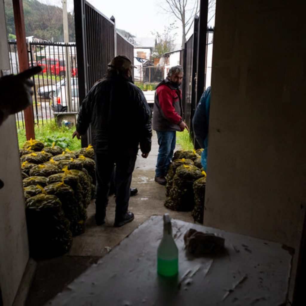 Pescadores rinden homenaje a San Pedro a pesar de la pandemia
