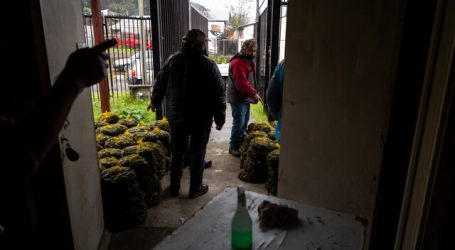 Pescadores rinden homenaje a San Pedro a pesar de la pandemia