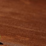 Tenis: Primeros casos de coronavirus en Roland Garros, en el doble masculino