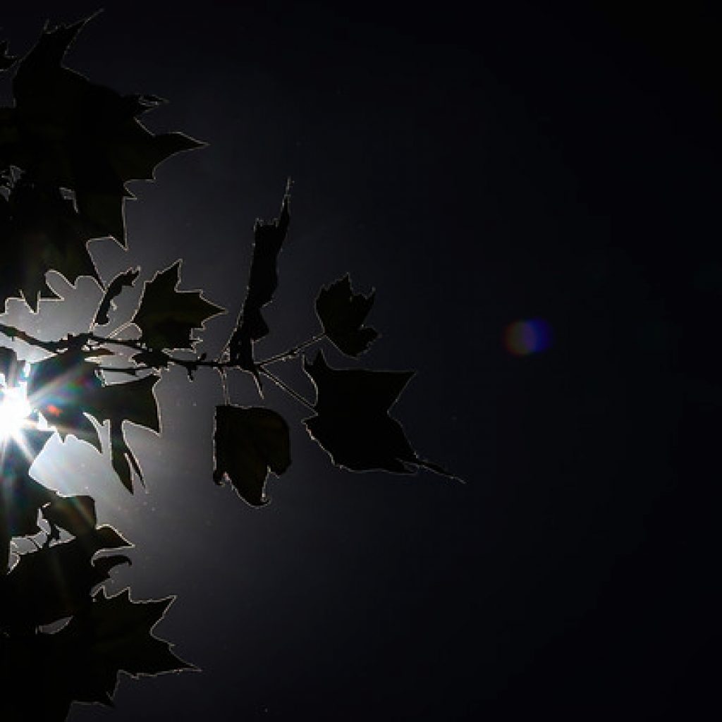 Canadá investiga la muerte de unas 500 personas en plena ola de calor