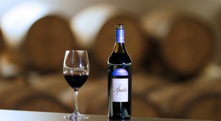 SAG: Producción de vinos 2021 subió 29,9%