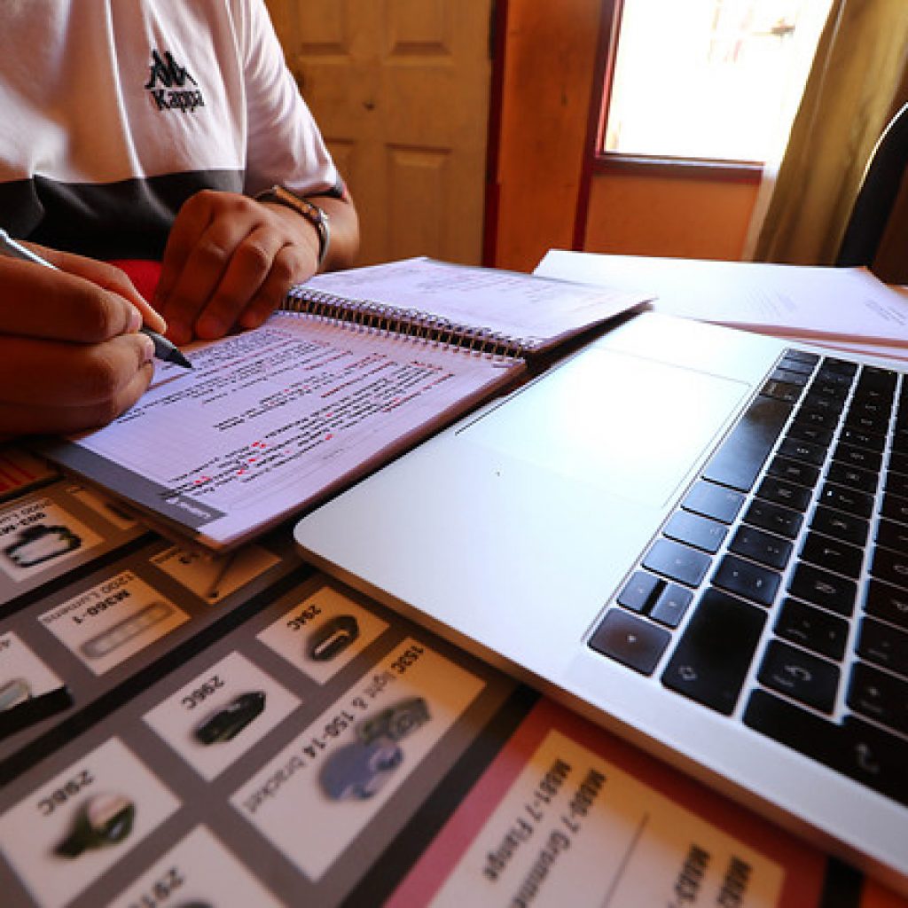 Gobierno pone a disposición 12 cursos gratuitos de formación a distancia