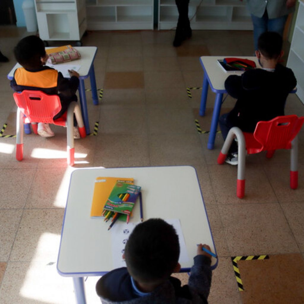 Llaman a colegios rurales a participar en proyecto que entrega mil bibliotecas