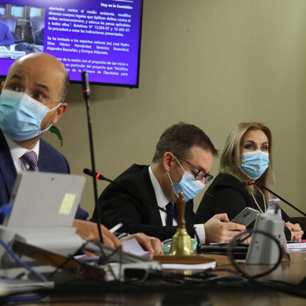 Inician discusión del articulado de proyecto que tipifica robo y hurto de madera