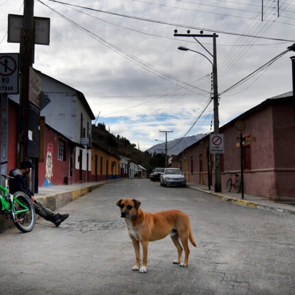 "Paso a Paso": 25 comunas avanzan a Preparación a partir del lunes