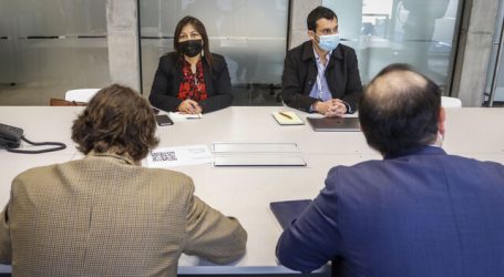 Pavez y CC: “Para la sesión de hoy nos pusimos a disposición para asistirlos”