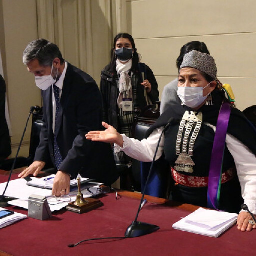 Constituyentes indígenas condenaron muerte de Pablo Marchant en Carahue