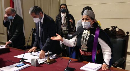 Constituyentes indígenas condenaron muerte de Pablo Marchant en Carahue