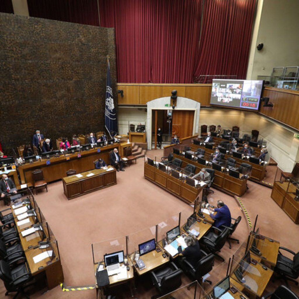 Matrimonio Igualitario: Senado inicia discusión en particular del proyecto