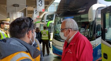 Valparaíso: Detallan plan de transporte público gratuito para las primarias