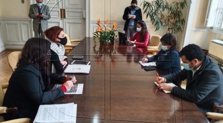 Defensoría de la Niñez se reunió con mesa de la Convención Constitucional