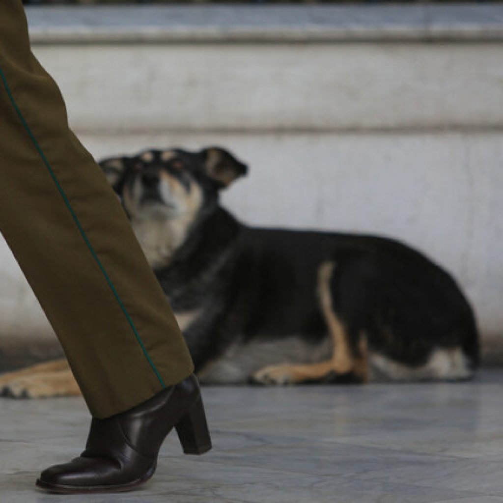 Los guardianes del exCongreso