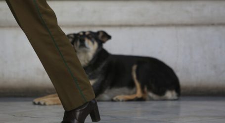 Los guardianes del exCongreso