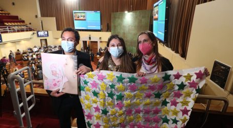 Cámara de Diputados aprueba la denominada “Ley Dominga”