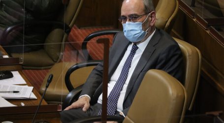 Saffirio valoró rechazo a veto que restaba garantías y protección a NNA