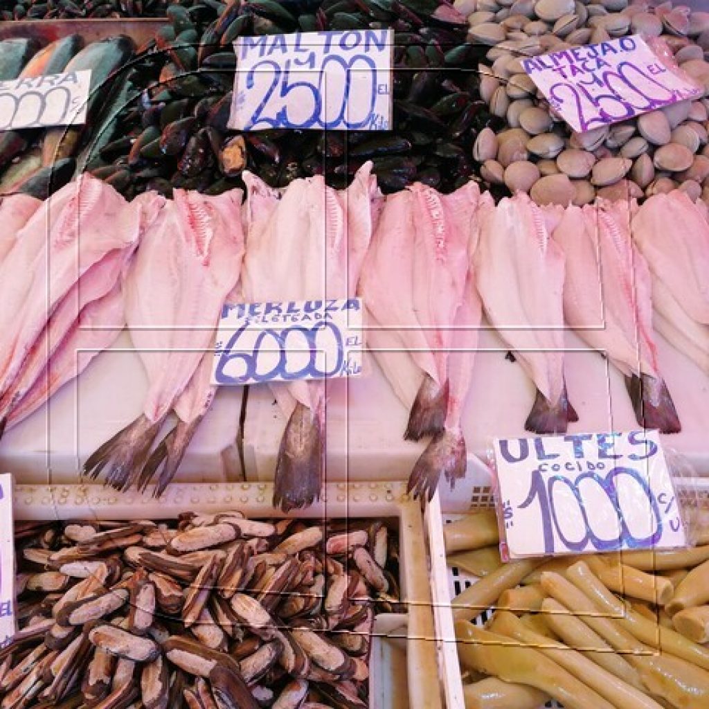 Sernapesca anuncia el inicio de la veda de la merluza austral