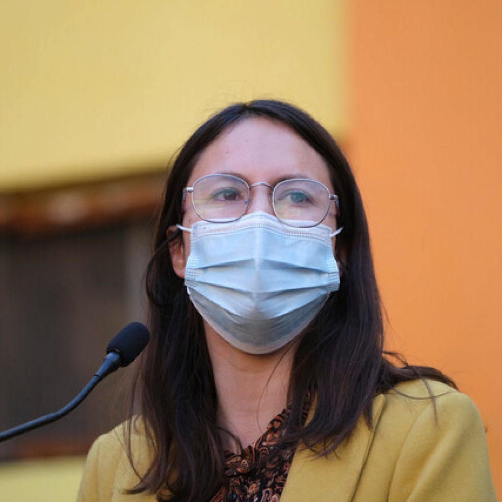 Hassler por B. Lastarria: “El llamado al Estado de Chile es a estar a la altura"